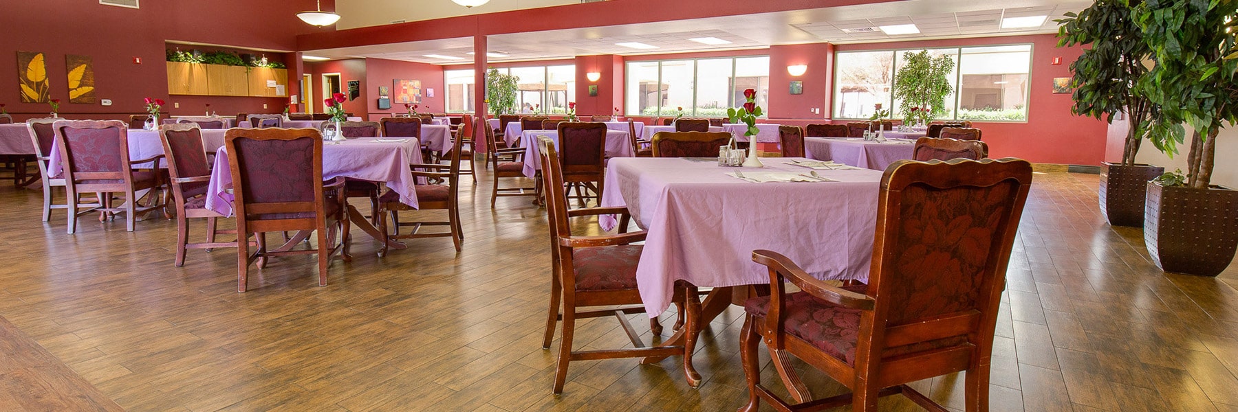 Desktop Background Image